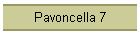 Pavoncella 7