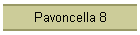 Pavoncella 8