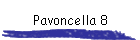 Pavoncella 8