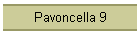 Pavoncella 9