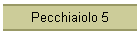 Pecchiaiolo 5