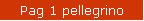 Pag 1 pellegrino