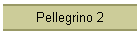 Pellegrino 2