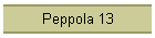 Peppola 13