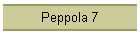 Peppola 7