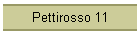 Pettirosso 11