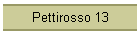 Pettirosso 13