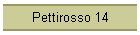 Pettirosso 14