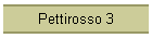 Pettirosso 3