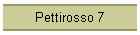 Pettirosso 7