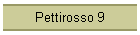 Pettirosso 9