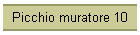 Picchio muratore 10