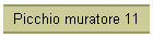 Picchio muratore 11