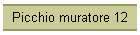 Picchio muratore 12