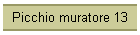 Picchio muratore 13