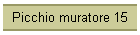 Picchio muratore 15