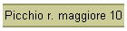Picchio r. maggiore 10