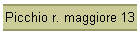 Picchio r. maggiore 13
