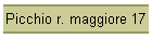 Picchio r. maggiore 17