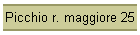 Picchio r. maggiore 25