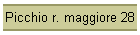 Picchio r. maggiore 28