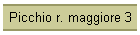 Picchio r. maggiore 3
