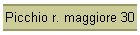 Picchio r. maggiore 30