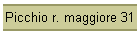 Picchio r. maggiore 31