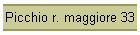 Picchio r. maggiore 33