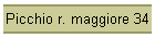 Picchio r. maggiore 34