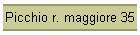 Picchio r. maggiore 35