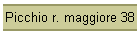 Picchio r. maggiore 38