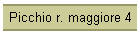 Picchio r. maggiore 4