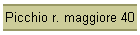 Picchio r. maggiore 40