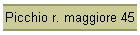 Picchio r. maggiore 45