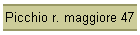 Picchio r. maggiore 47