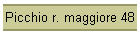 Picchio r. maggiore 48