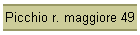 Picchio r. maggiore 49