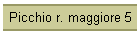 Picchio r. maggiore 5
