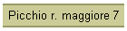 Picchio r. maggiore 7