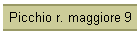 Picchio r. maggiore 9