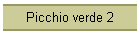 Picchio verde 2