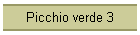 Picchio verde 3