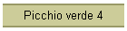 Picchio verde 4