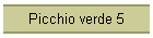 Picchio verde 5