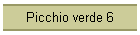 Picchio verde 6