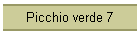 Picchio verde 7