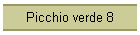 Picchio verde 8