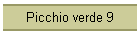 Picchio verde 9