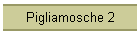 Pigliamosche 2